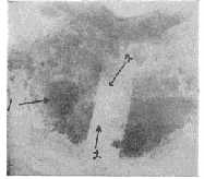 fig2.jpg (4722 bytes)