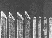 fig14.jpg (4528 bytes)