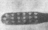 fig16.jpg (2787 bytes)