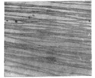 fig17.jpg (4841 bytes)