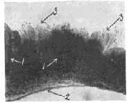 fig4.jpg (4499 bytes)