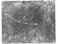 fig9.jpg (5263 bytes)